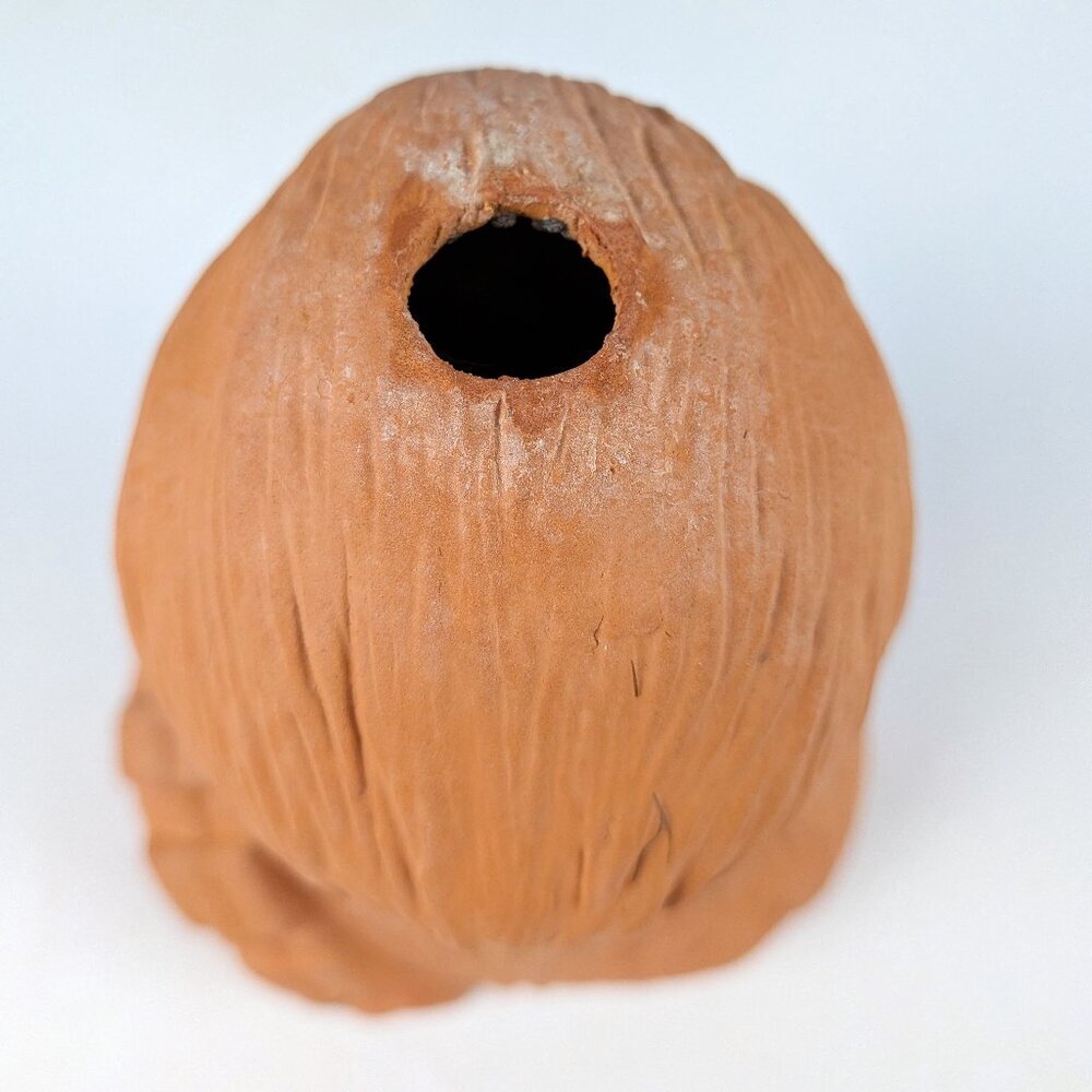 Star Wars Chewbacca Chia Pet Planter Head - Picture 6 of 7